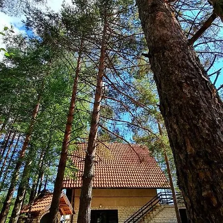 Planinska Smigic Divčibare