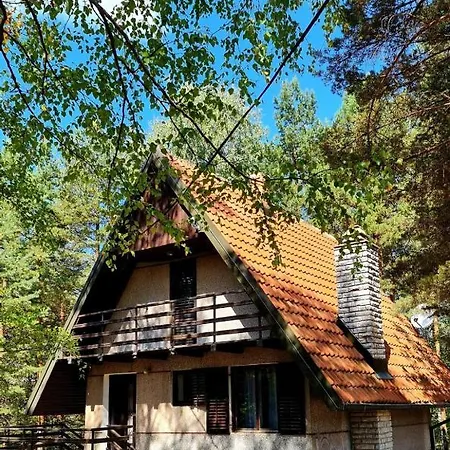 Planinska Smigic Holiday home Divcibare