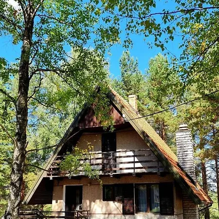 Planinska Smigic Holiday home *