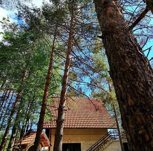 Planinska Smigic Divčibare